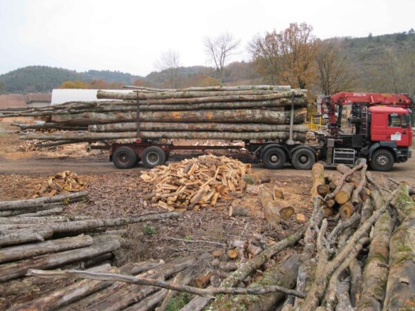 CHÂTAIGNIER EN GRUME, CAMION DE 50 STÈRES