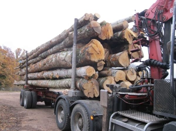 HÊTRE, CHÊNE, CHARME EN GRUME, CAMION DE 50 STÈRES